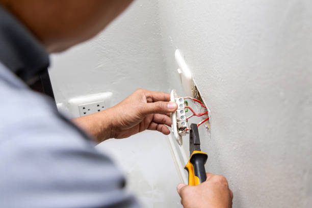 Best Industrial Electrical Services  in Trempealeau, WI
