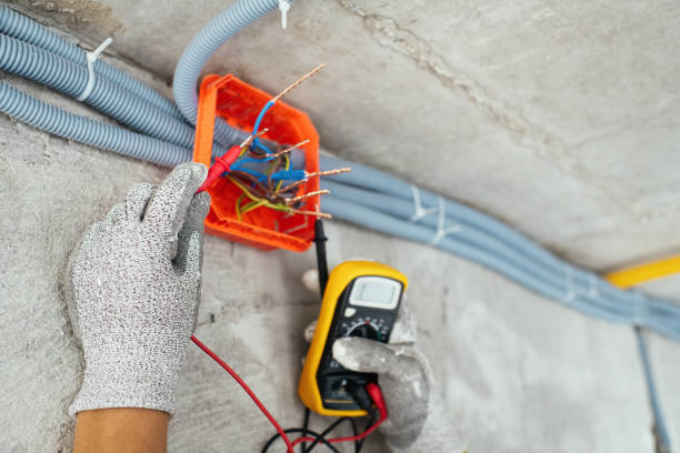 Best Local Electrician Companies  in Trempealeau, WI