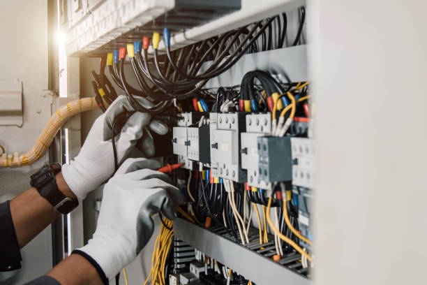 Best Electric Panel Repair  in Trempealeau, WI